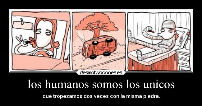 los humanos somos los unicos - que tropezamos dos veces con la misma piedra.