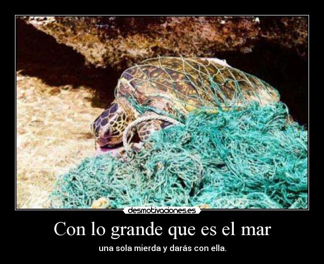 Con lo grande que es el mar - 