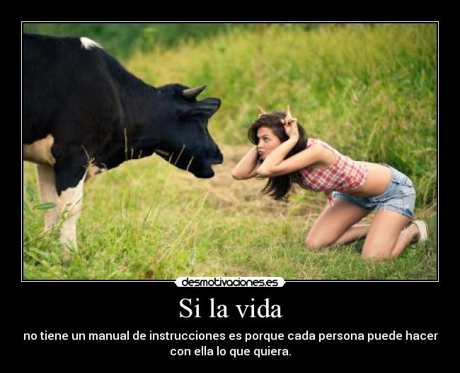Si la vida - no tiene un manual de instrucciones es porque cada persona puede hacer
con ella lo que quiera.