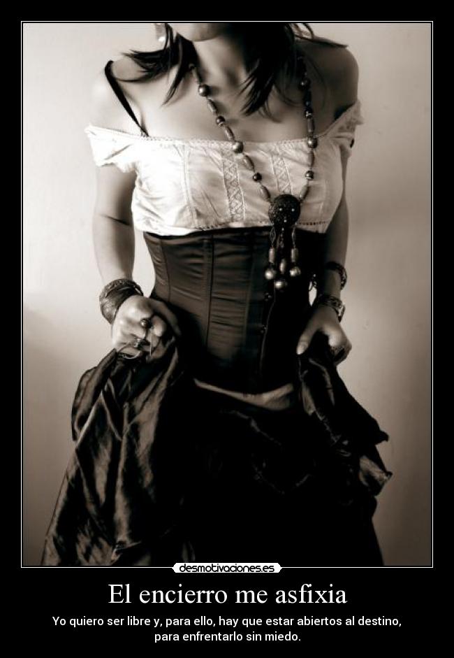 carteles gitana desmotivaciones