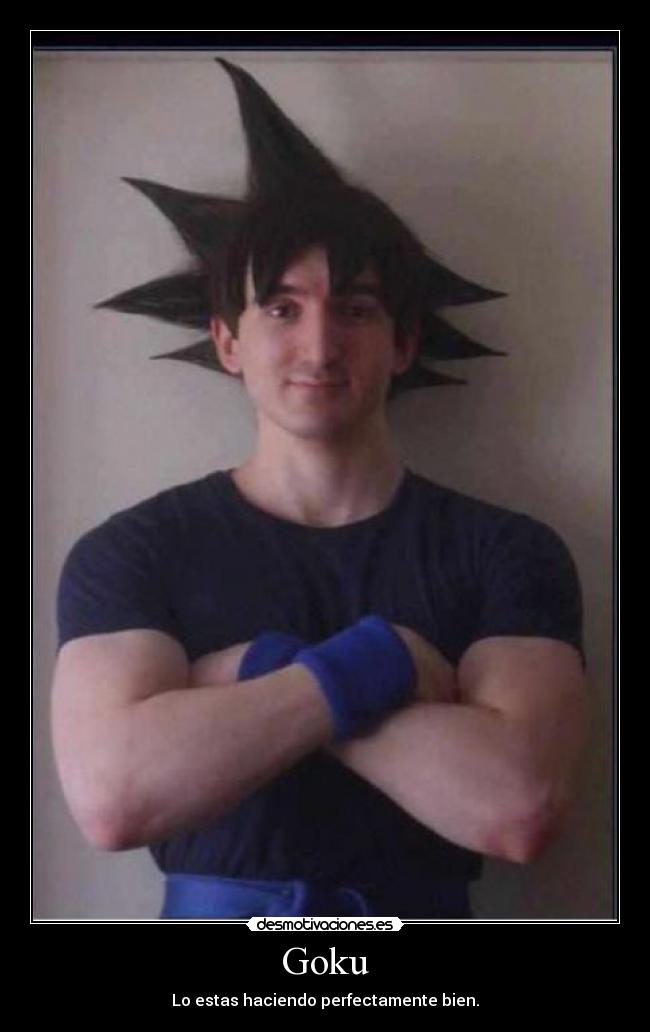 Goku - Lo estas haciendo perfectamente bien.