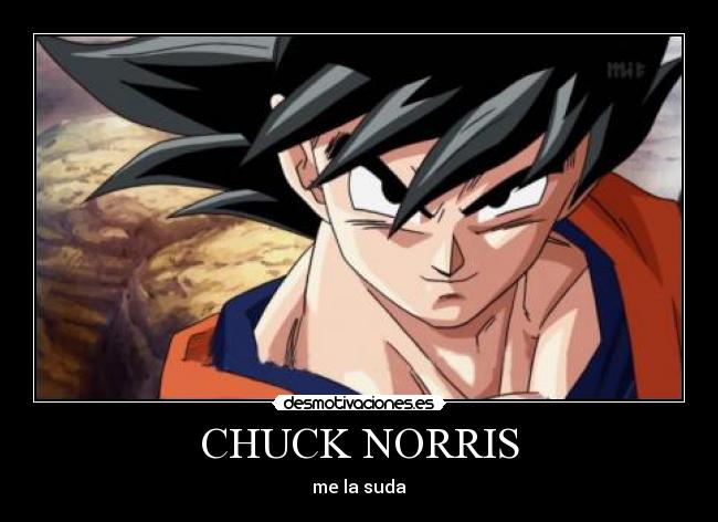 CHUCK NORRIS - me la suda