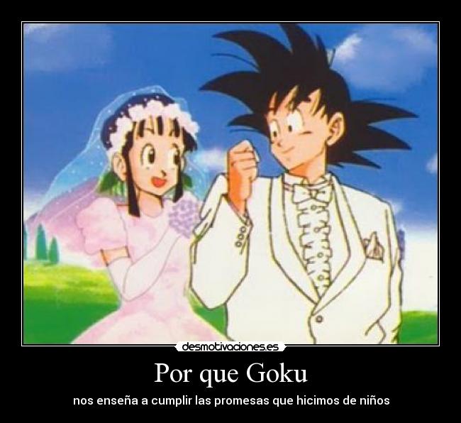 Por que Goku - 