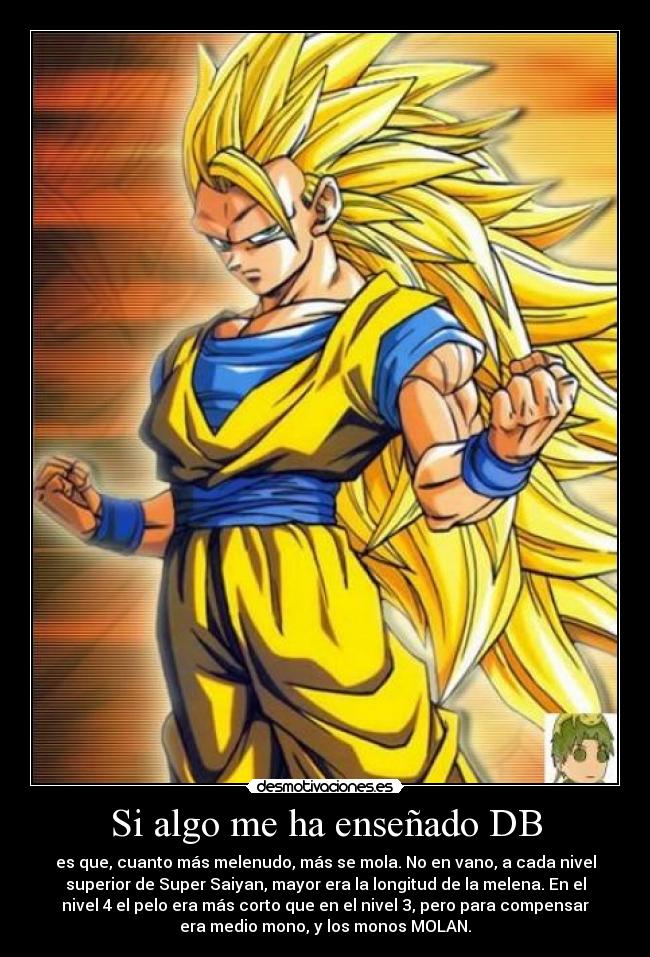 Si algo me ha enseñado DB - es que, cuanto más melenudo, más se mola. No en vano, a cada nivel
superior de Super Saiyan, mayor era la longitud de la melena. En el
nivel 4 el pelo era más corto que en el nivel 3, pero para compensar
era medio mono, y los monos MOLAN.