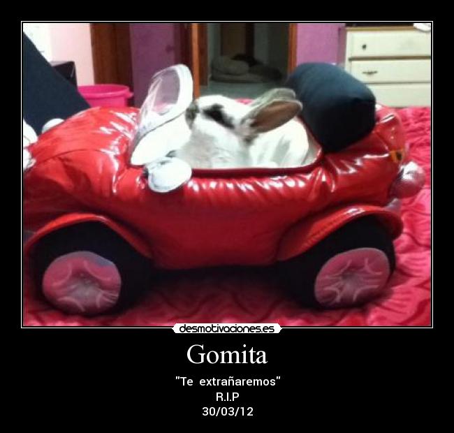 Gomita - Te  extrañaremos
R.I.P
30/03/12