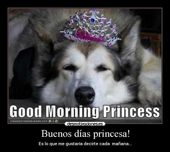 Buenos días princesa! - Es lo que me gustaría decirte cada mañana...