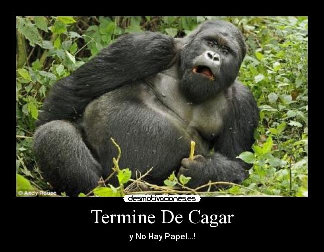 Termine De Cagar - 