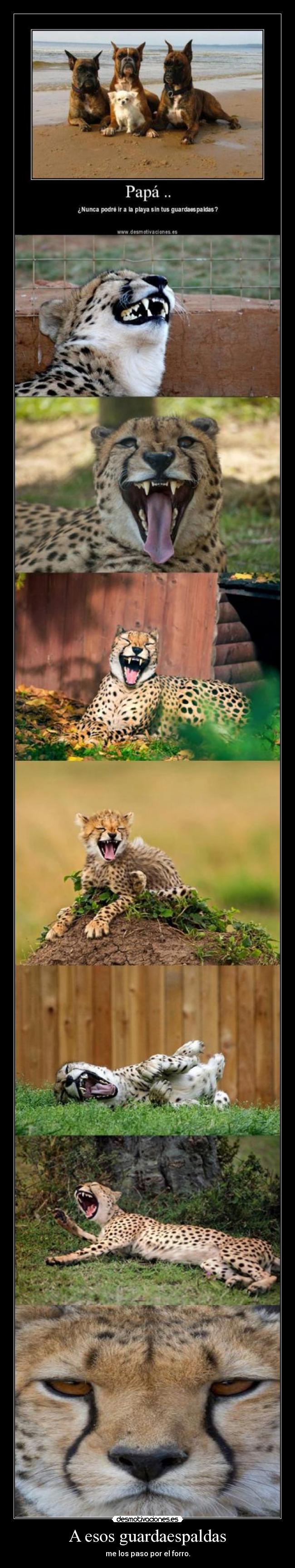 A esos guardaespaldas - me los paso por el forro.