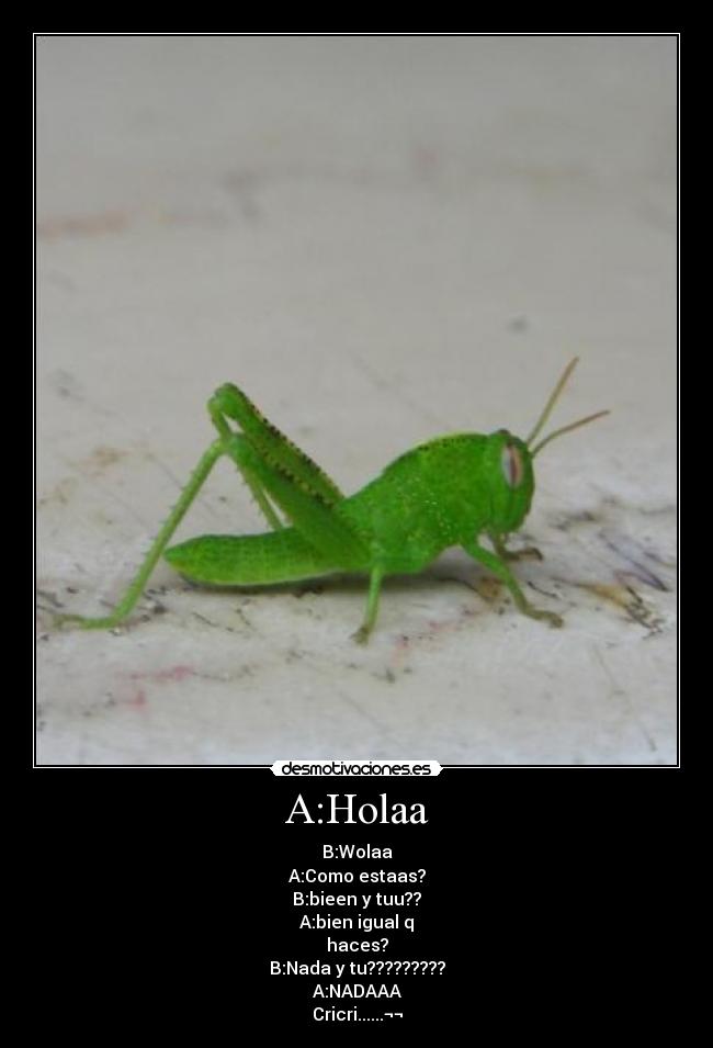 A:Holaa -