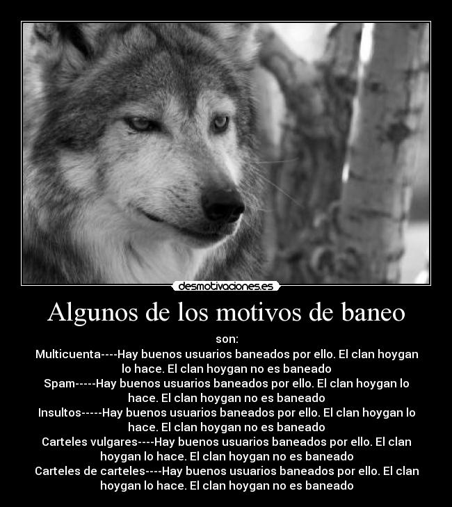 Algunos de los motivos de baneo - 