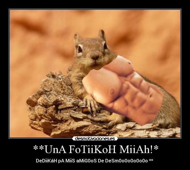 carteles las ardillas molan desmotivaciones