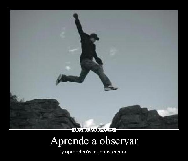 Aprende a observar - y aprenderás muchas cosas.