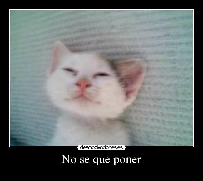 No se que poner - 