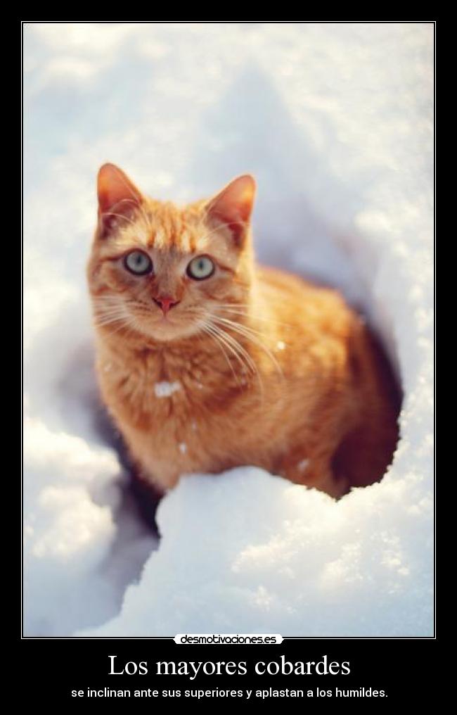 Los mayores cobardes -