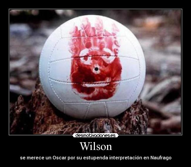 Wilson - se merece un Oscar por su estupenda interpretación en Naufrago