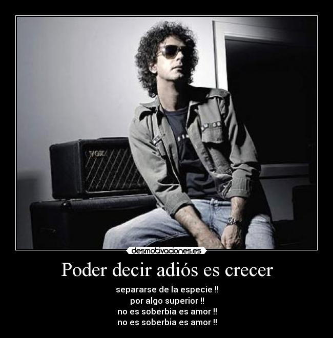 carteles gustvo cerati adios desmotivaciones