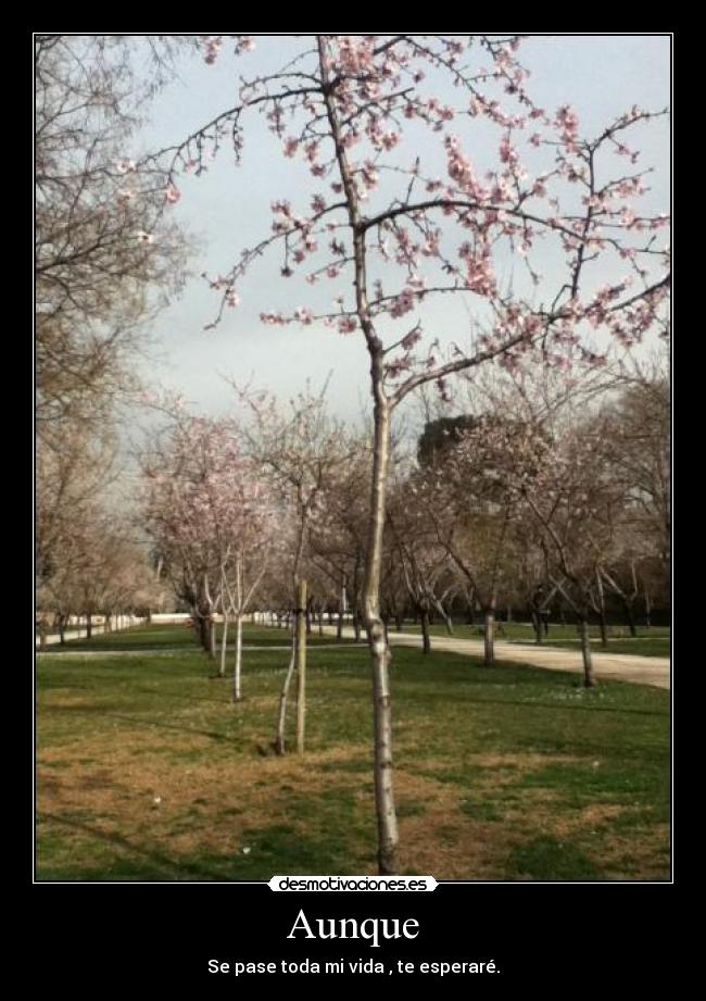 Aunque - Se pase toda mi vida , te esperaré.