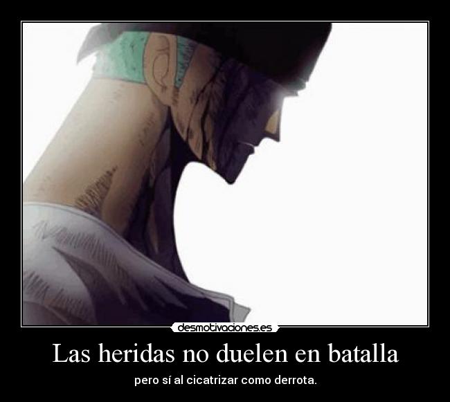 carteles one piece zoro desmotivaciones