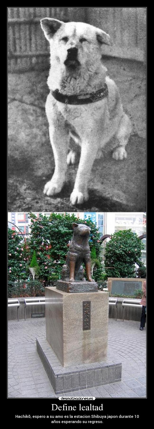 Define lealtad - Hachikō, espero a su amo es la estacion Shibuya japon durante 10
años esperando su regreso.