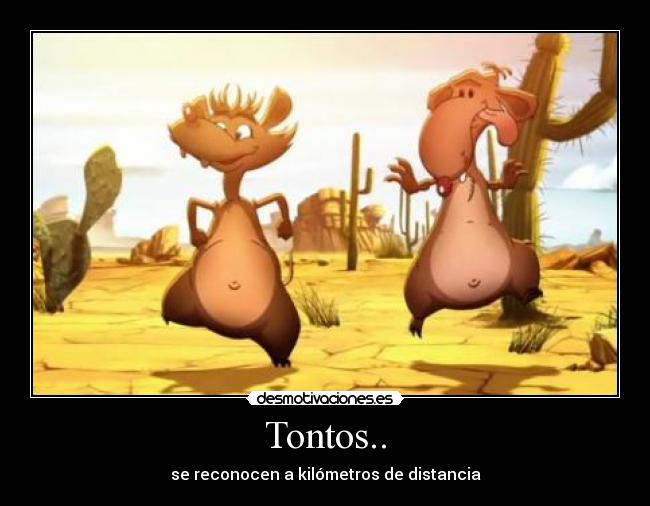 Tontos.. - 