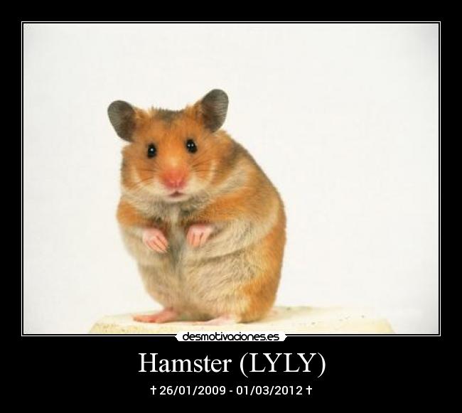 Hamster (LYLY) - 