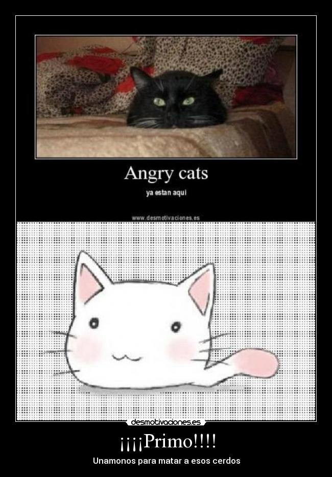 ¡¡¡¡Primo!!!! - Unamonos para matar a esos cerdos