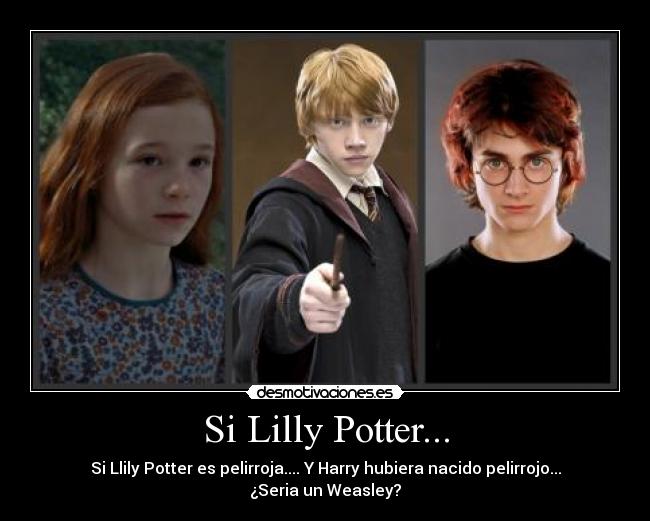 Si Lilly Potter... -