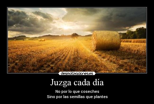 Juzga cada día - No por lo que coseches
Sino por las semillas que plantes