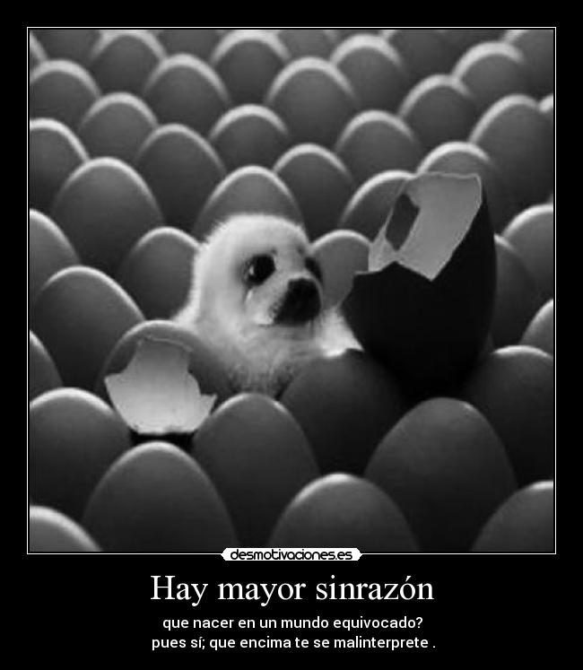 Hay mayor sinrazón - que nacer en un mundo equivocado?
pues sí; que encima te se malinterprete .