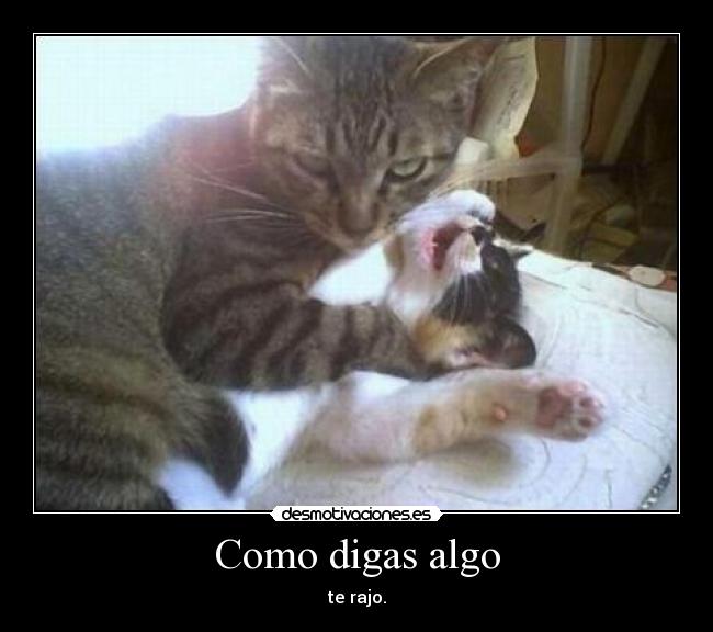 Como digas algo - te rajo.