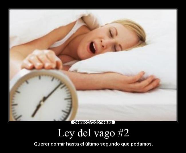 Ley del vago #2 - 