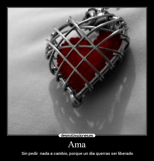 Ama - Sin pedir nada a cambio, porque un dia querras ser liberado