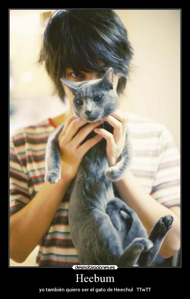 Heebum - yo también quiero ser el gato de Heechul♥ TTwTT