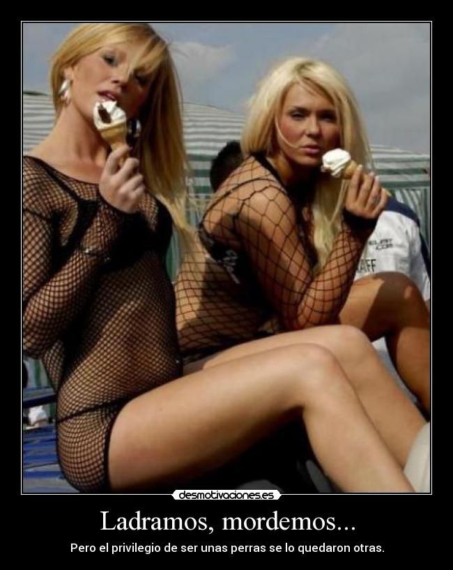 Ladramos, mordemos... -