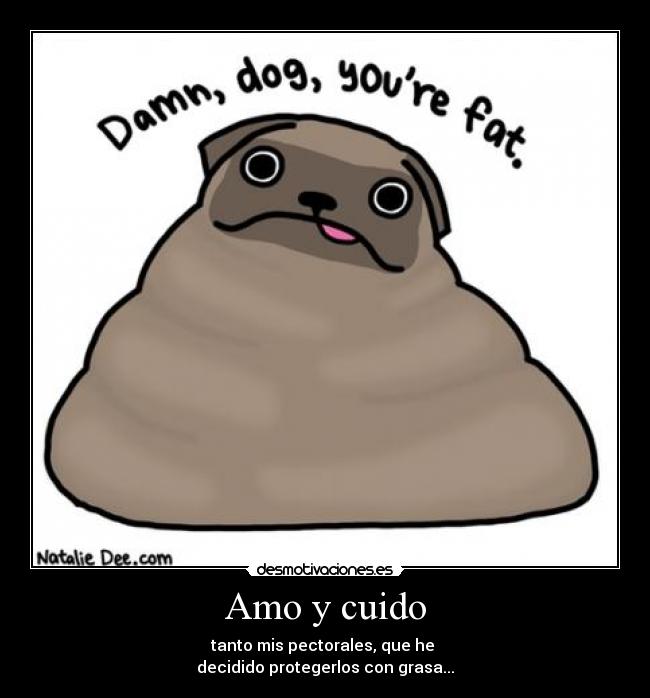 Amo y cuido - tanto mis pectorales, que he
decidido protegerlos con grasa...