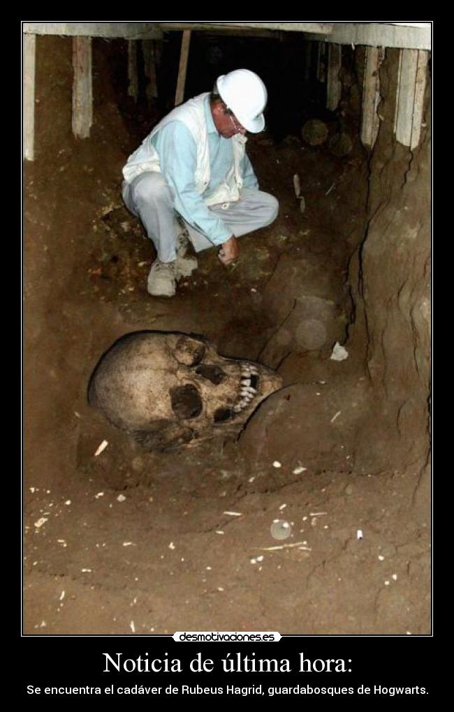 carteles eften parida burria desmotivaciones