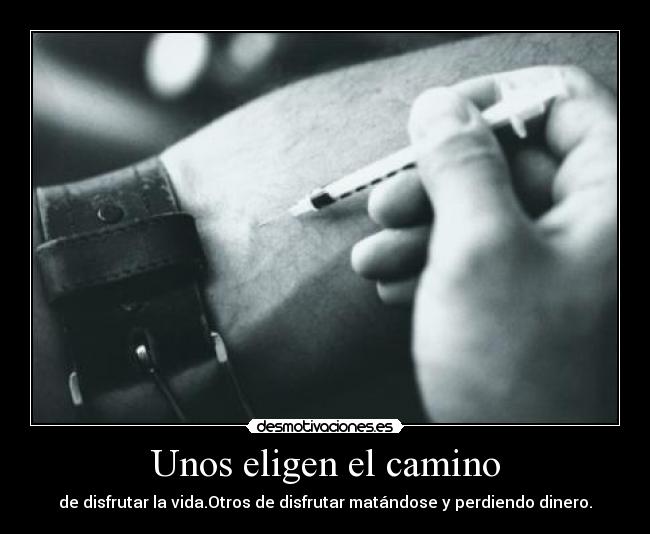 Unos eligen el camino - de disfrutar la vida.Otros de disfrutar matándose y perdiendo dinero.