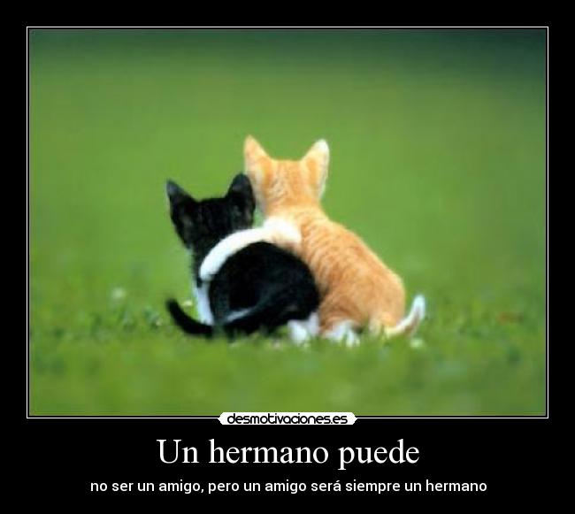 Un hermano puede - no ser un amigo, pero un amigo será siempre un hermano