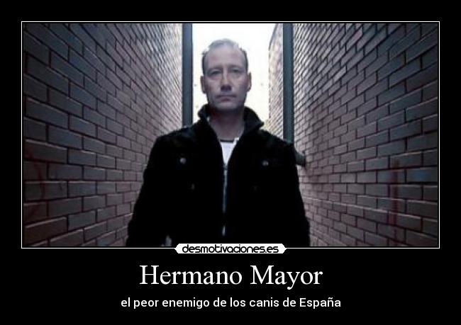 Hermano Mayor - el peor enemigo de los canis de España