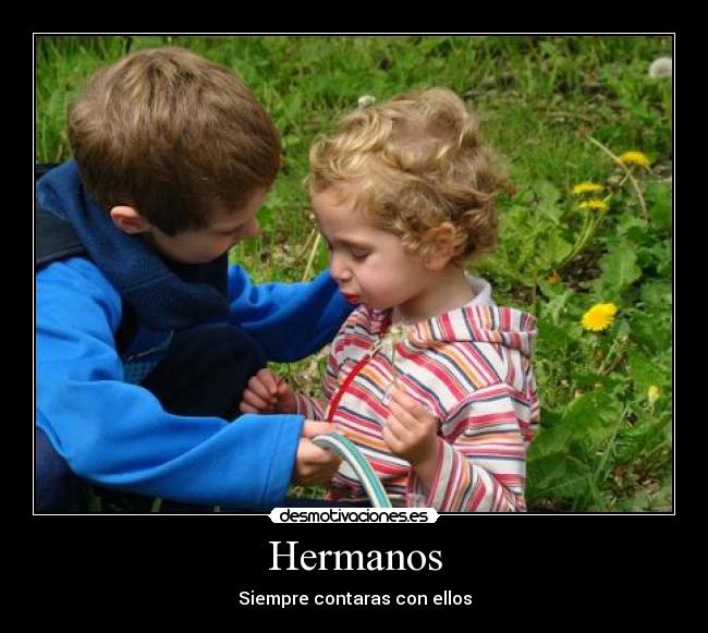 Hermanos - Siempre contaras con ellos