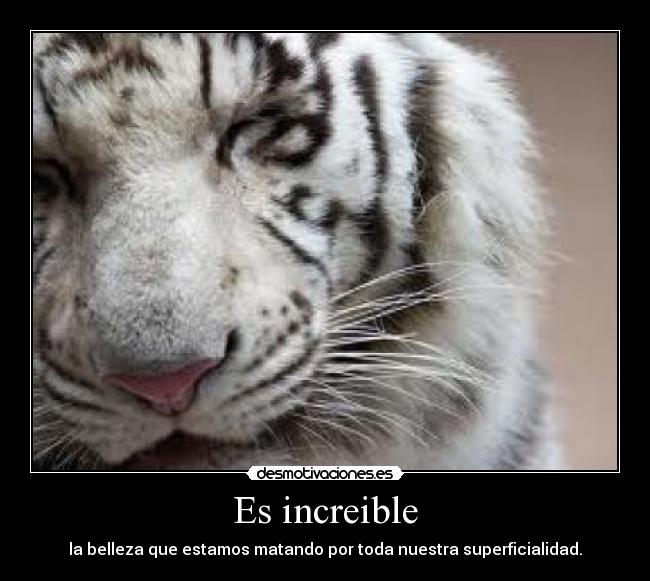 Es increible - 