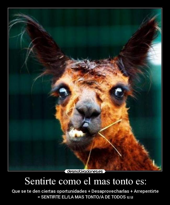 Sentirte como el mas tonto es: -