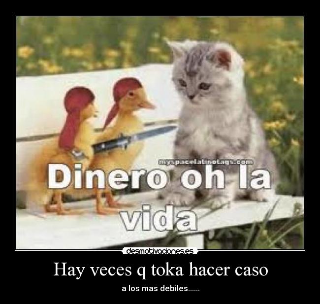 Hay veces q toka hacer caso - a los mas debiles......