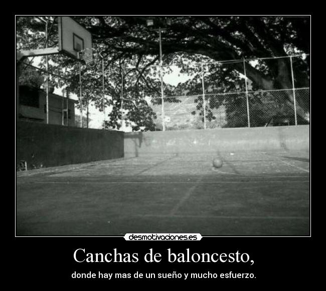 Canchas de baloncesto, -