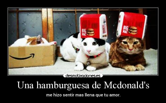 Una hamburguesa de Mcdonalds - me hizo sentir mas llena que tu amor.