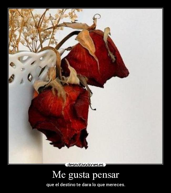 Me gusta pensar - que el destino te dara lo que mereces.