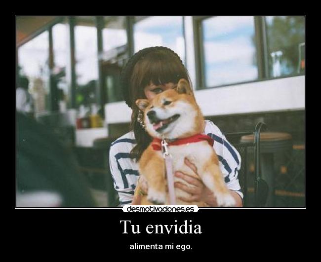 Tu envidia - alimenta mi ego.