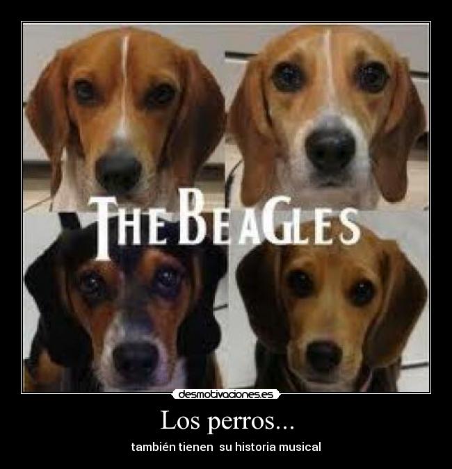 Los perros... - también tienen su historia musical
