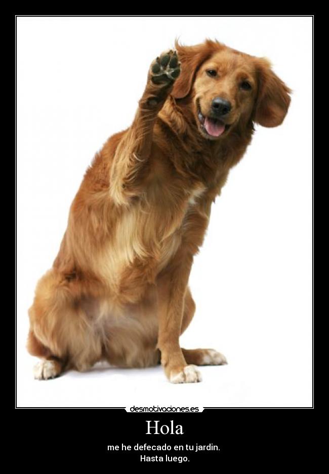 carteles lrc1894 tengo ideas disponibles perdonenme desmotivaciones