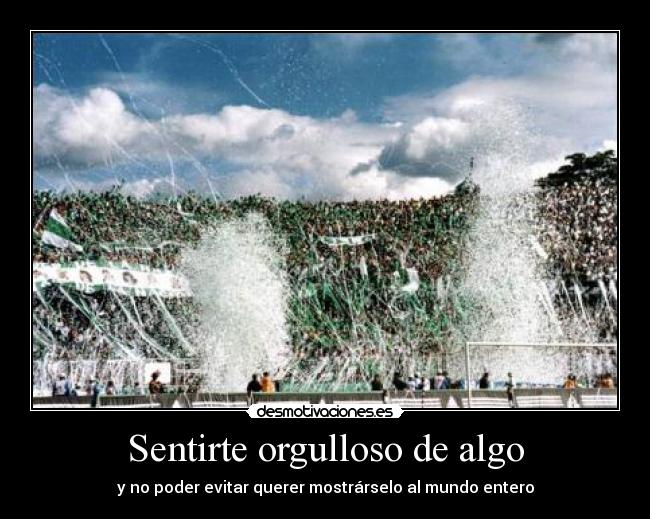 carteles sdvsf desmotivaciones